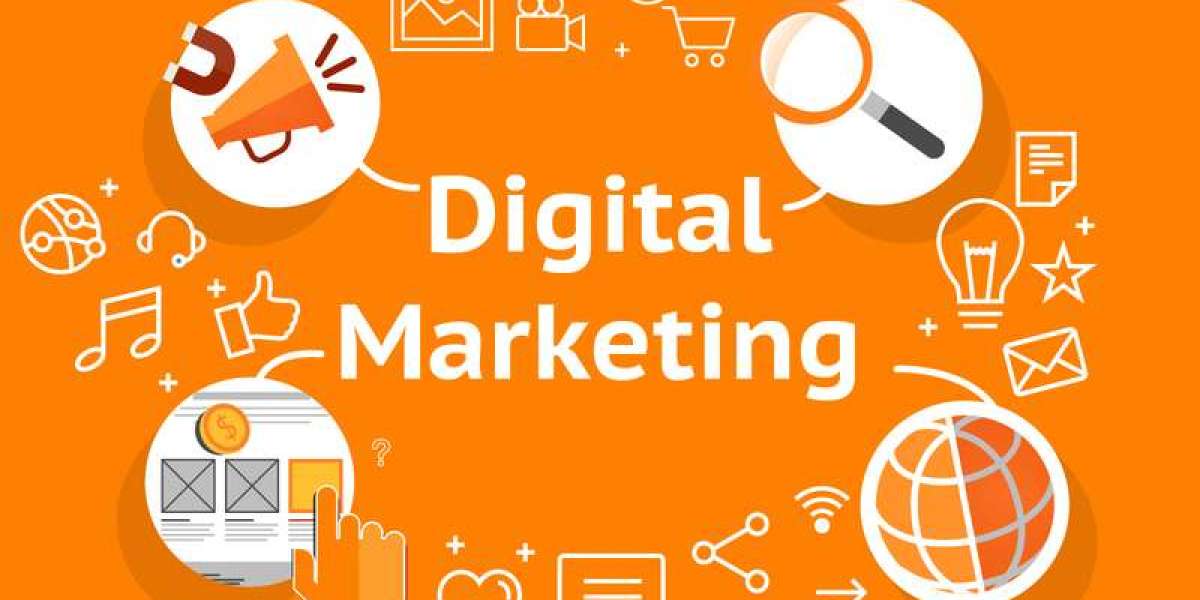Transform Your Business with Expert SEO Services in Auckland, Wellington, and Across New Zealand