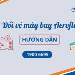 Phong ve Aeroflot Profile Picture