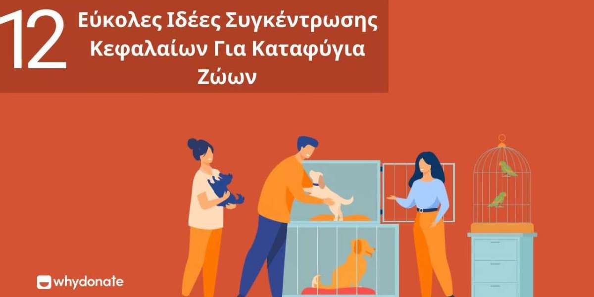 Article Picture