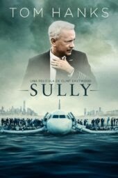 Sully: Hazaña en el Hudson - Mundo de Pelicula