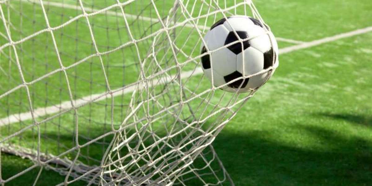 Exploring the Different Types of Sports Nets: A Comprehensive Guide