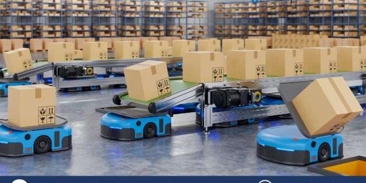 Packaging Automation Market: Insights and Growth Projections (2025-2034)