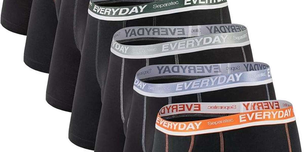 Global Men’s Underwear Market Size, Share, Growth, and Forecast (2025-2034)