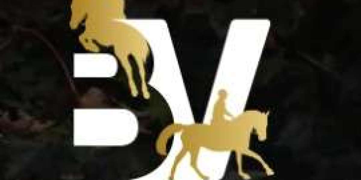 Experience the Joy of Horse Riding in Birmingham at Bourne Vale Stables