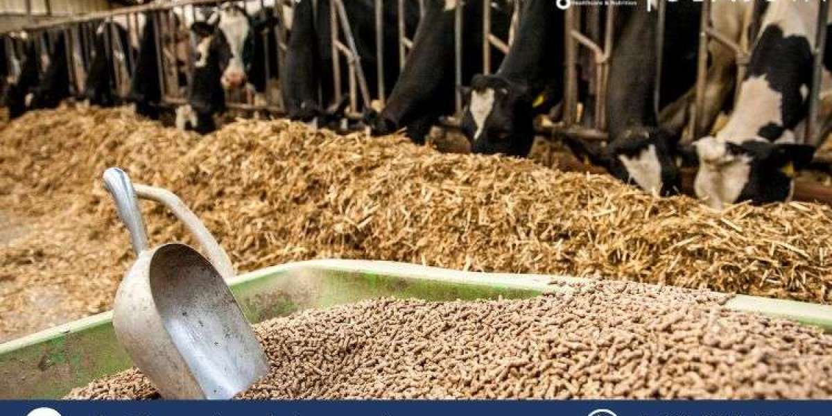 United States Feed Enzymes Market: Trends, Growth, and Forecast (2025-2034)
