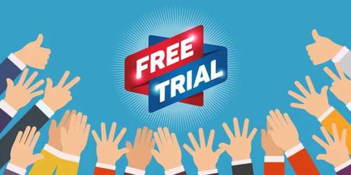 7 Key Techniques The professionals Use For Free Trial Seo Service