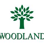 wood landworldwide Profile Picture