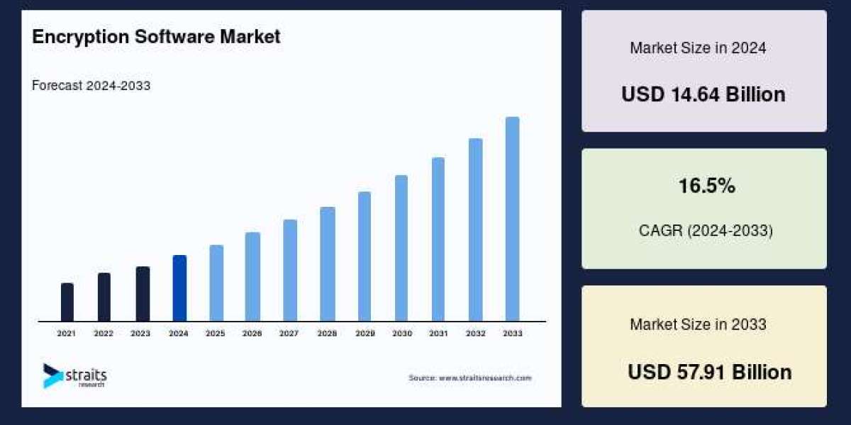 Encryption Software Market Report: Growth Trends, Key Players, and Future Insights (2024-2033)