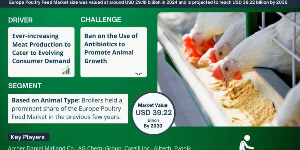 Europe Poultry Feed Market Share, Size and Future Projections 2025-2030FY