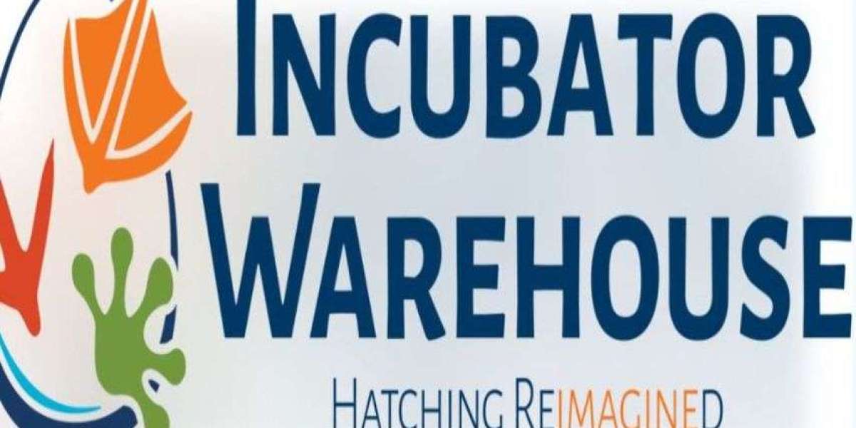 Top Features to Look for in a Poultry Incubator