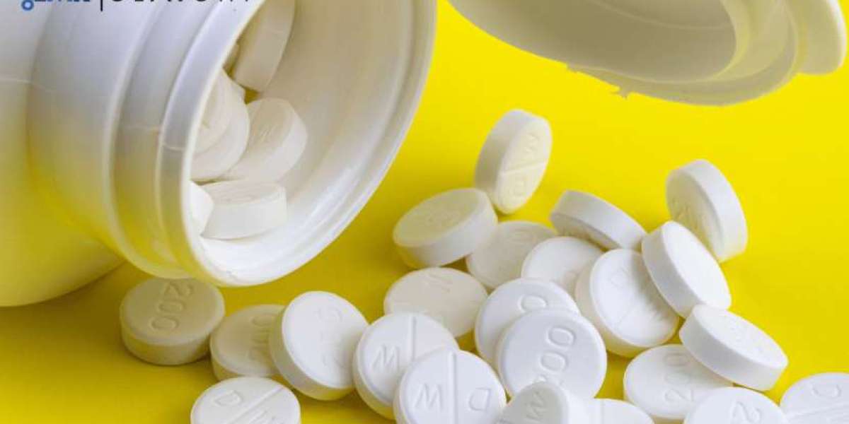 Triamterene Hydrochlorothiazide Manufacturing Plant Project Report