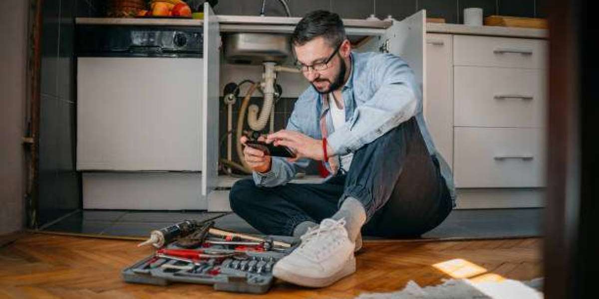 Article Picture