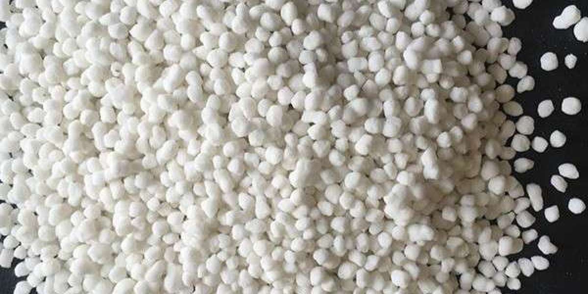 Organosilicon Polymers Market Forecast 2025–2030: Product Trends, Applications, and Global Growth