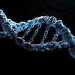 lydia lenil Profile Picture