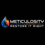 Meticulosity CleaningandRestoration Profile Picture