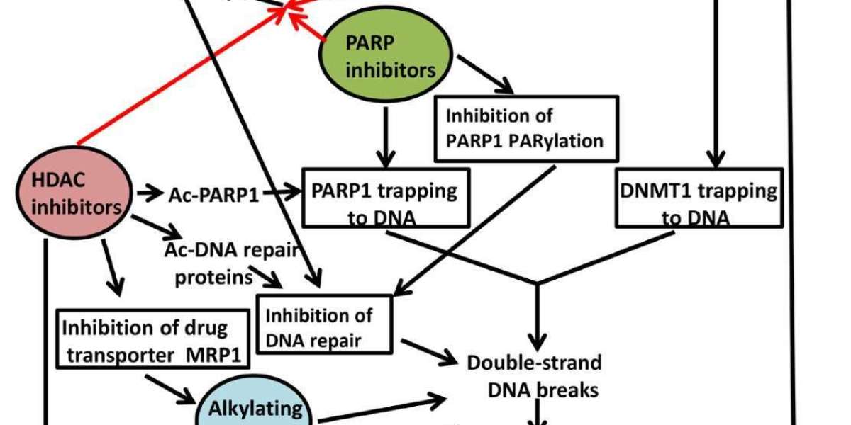 Chromatin Remodeling Complexes: Mechanisms, Technologies, and Clinical Frontiers