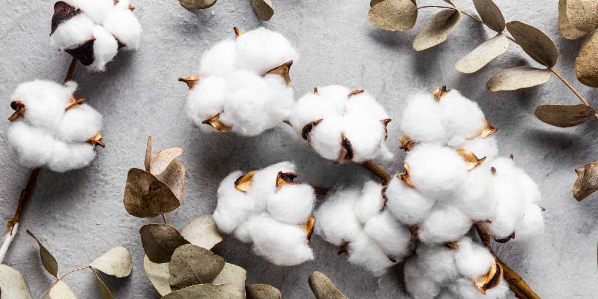 MCX Cotton Live Prices: How to Leverage Live Data for Profitable Trades