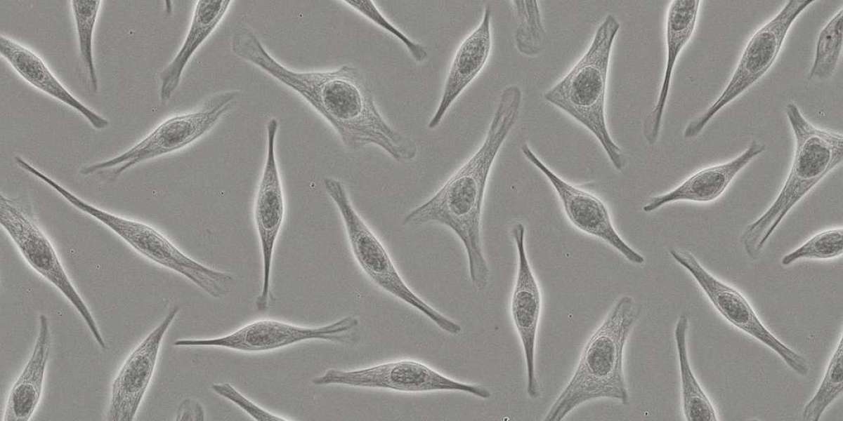 Article Picture