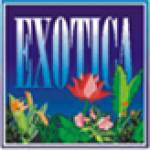 Exotica tropicalretreat Profile Picture