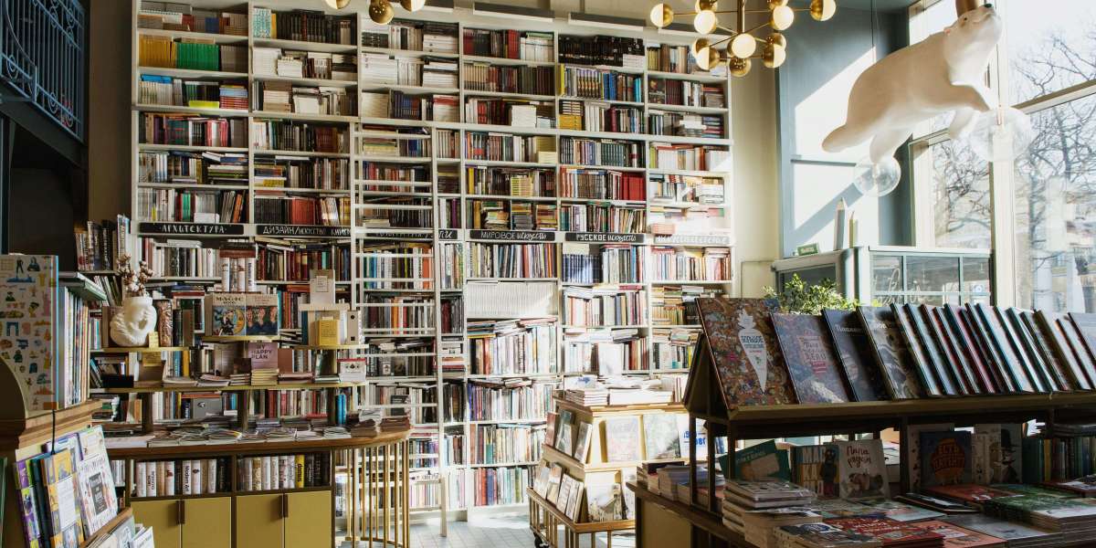 How Book Publish Hub Supports Every Step of Your Writing Journey