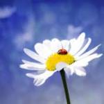 SAKSHI GAIKWAD Profile Picture
