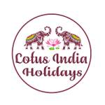 Lotus India Holidays Profile Picture