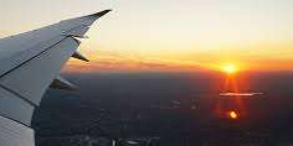 United Airlines Flight Status: Everything You Need to Know