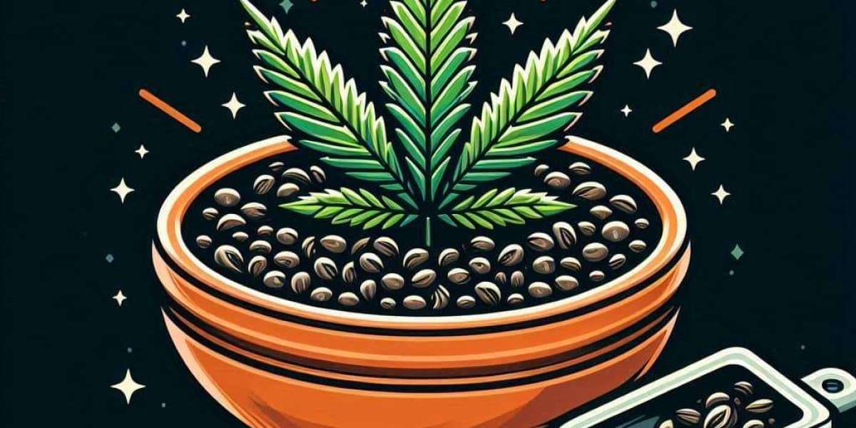 The Legacy of Jack Herer and the Rise of the Functional High