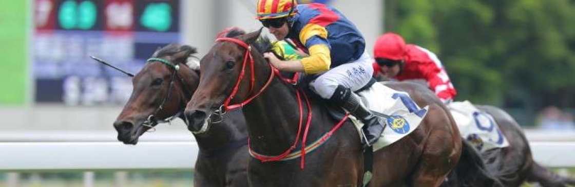 Reddy Anna Book Cover Image