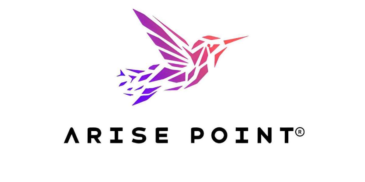 How Arise Point is Helping Indians Take Control of Their Online Identity