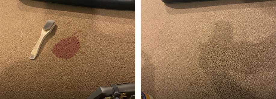 Clean Freaks Profile Picture