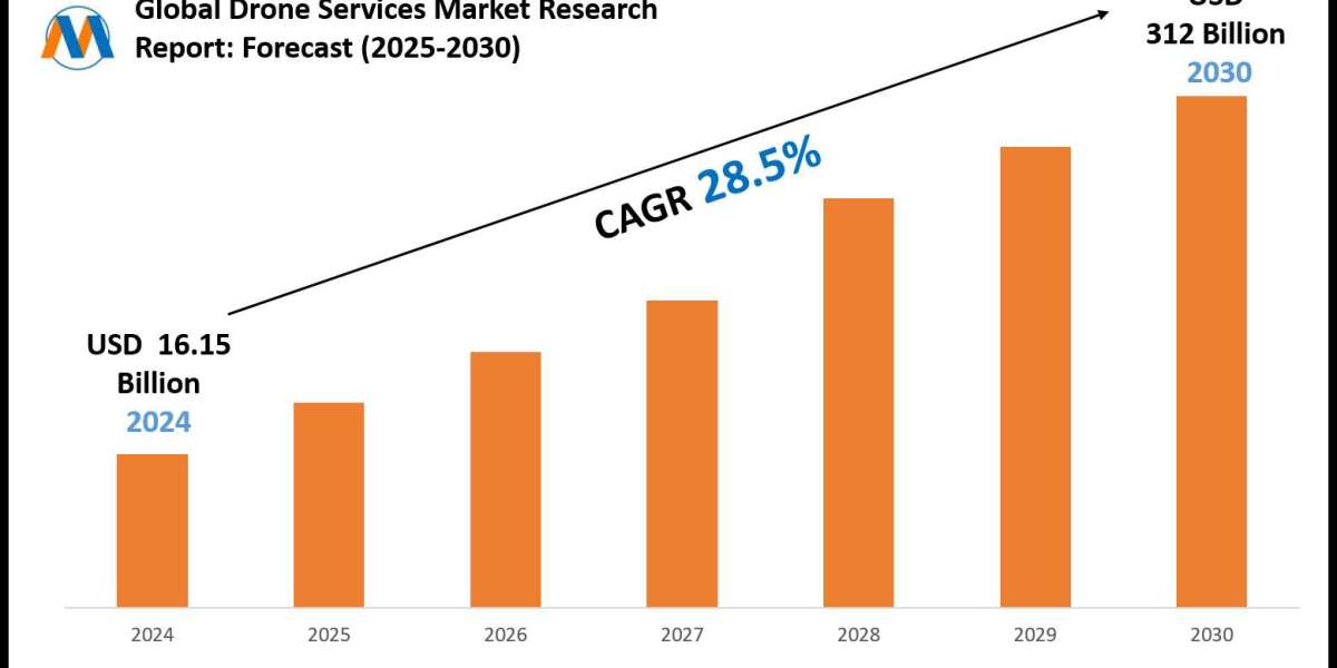 Drone Services Market Report 2025–2030: Size, Share & Forecast