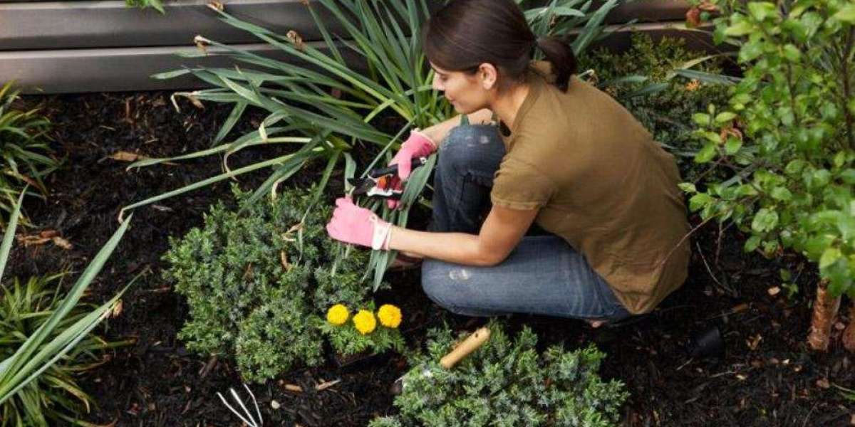 Top Reasons to Hire a Landscape Gardener Near Me for Your Garden Makeover