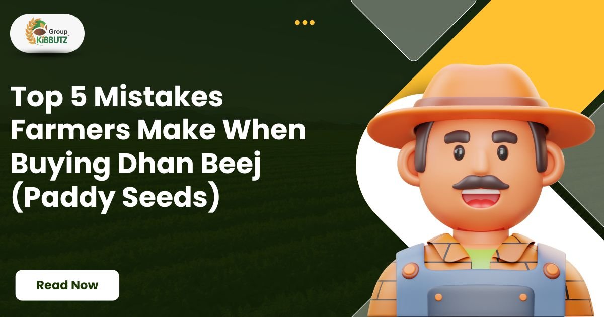 Top 5 Mistakes to Avoid When Buying Dhan Beej | Kibbutz