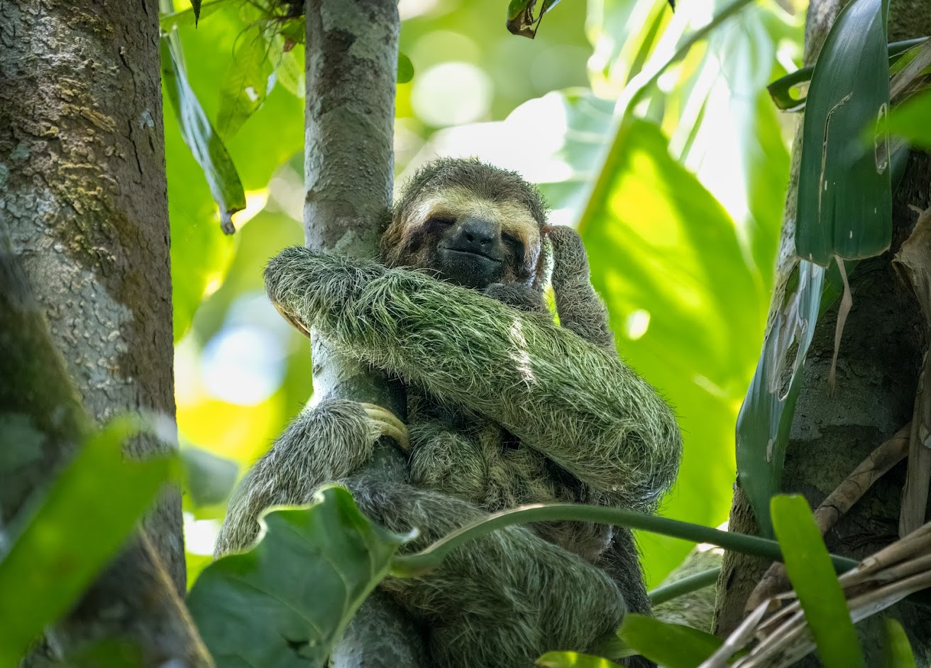 Costa Rica Costa Rica: Secluded Wildlife Adventure Tour