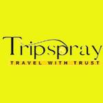 Trip spray Profile Picture