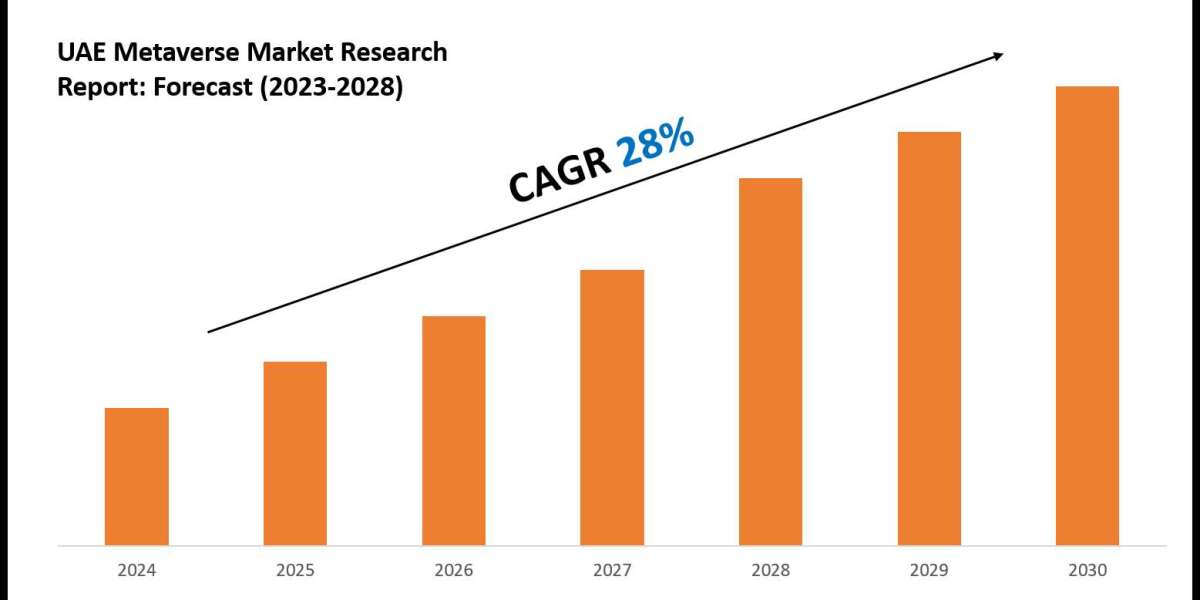 UAE Metaverse Market Outlook: Size, Share, and Competitive Trends 2028