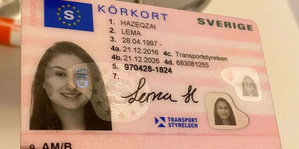 10 Sites To Help To Become An Expert In Buy Driving License