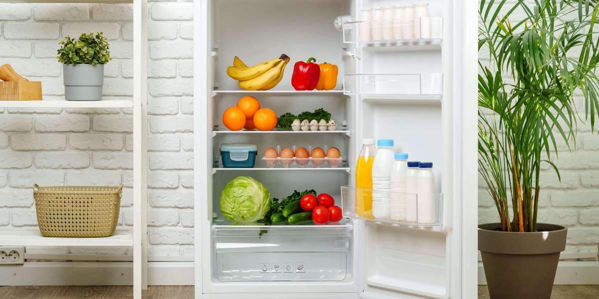 See What Cheap Fridges Freezers Tricks The Celebs Are Using