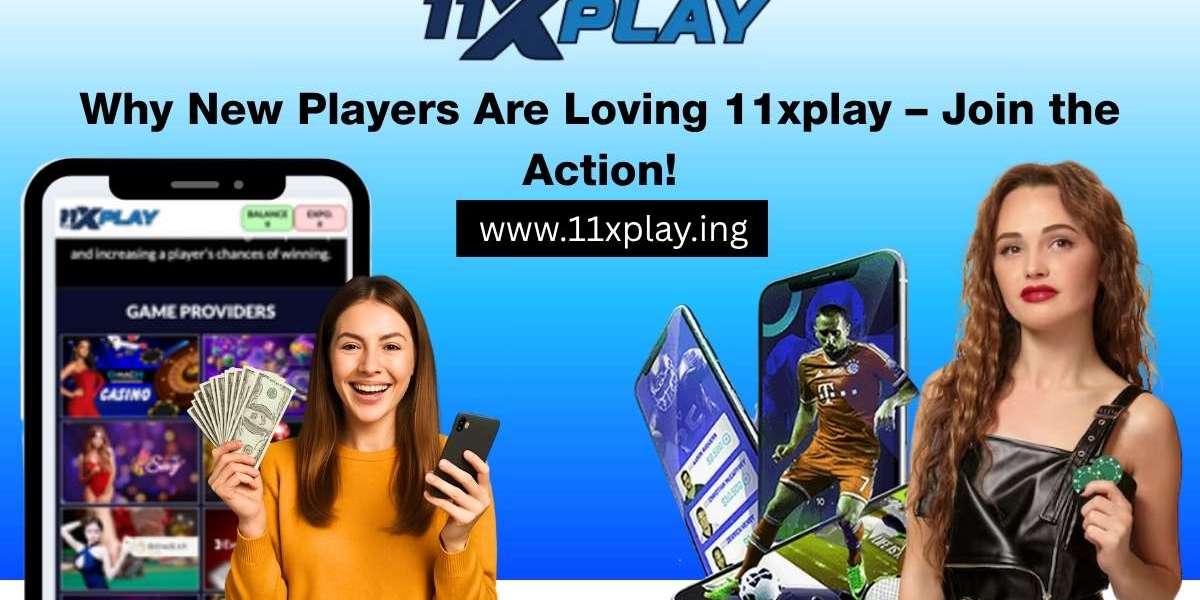 Why New Players Are Loving 11xplay – Join the Action!