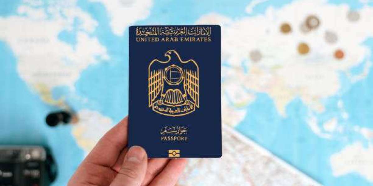 Single-Entry vs. Multi-Entry Permits: Which Fits Your Short Trip to Dubai or UAE?
