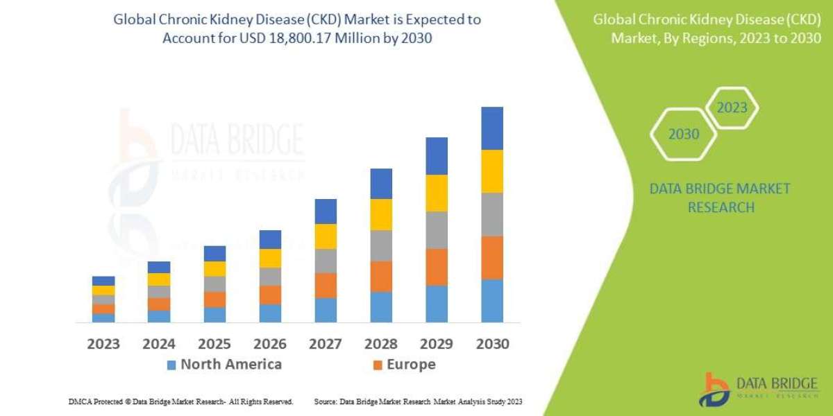 Chronic Kidney Disease Market Expands with Increasing Prevalence and Therapeutic Advances