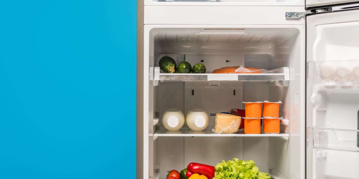 The Online Fridge Sale Case Study You'll Never Forget