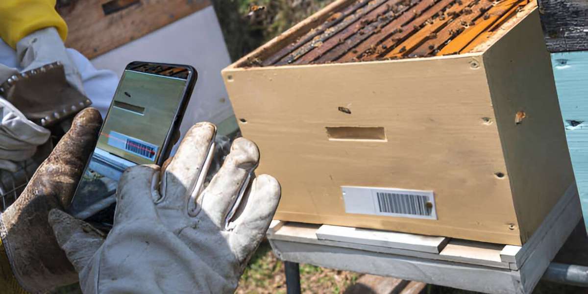 Revolutionizing Beekeeping: Smart Beehive Monitoring System for Healthier Colonies
