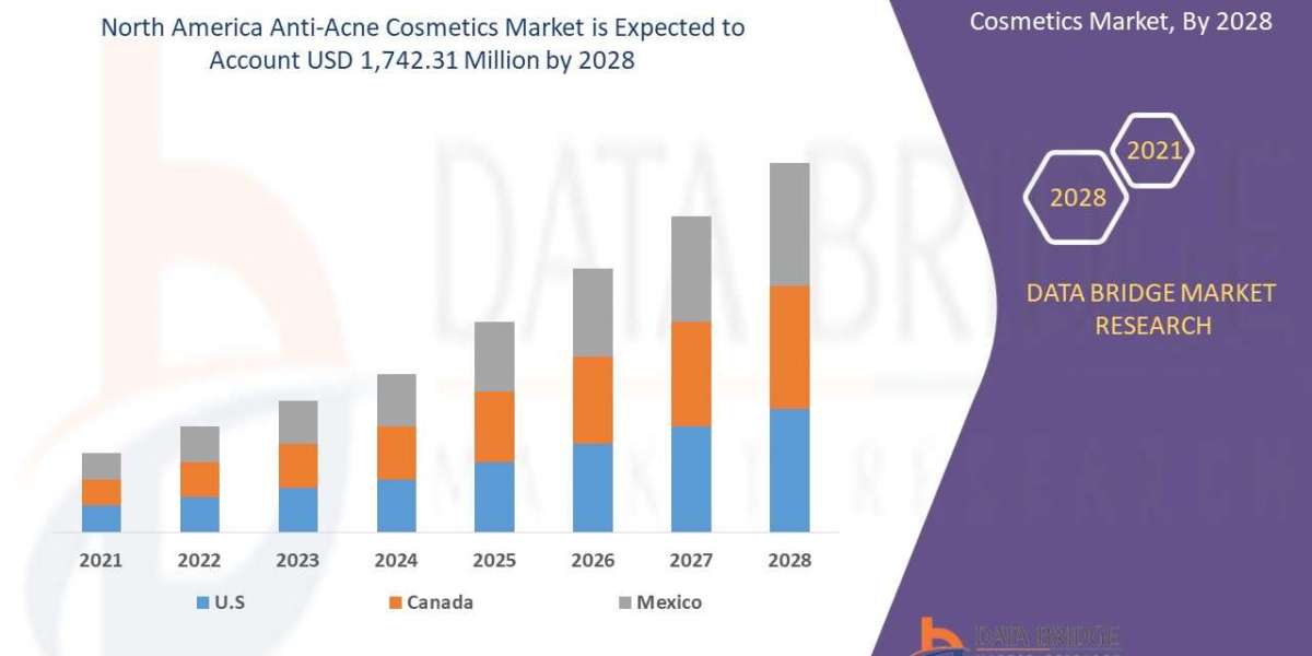 North America Anti-Acne Cosmetics Market Size, Share, Trends, Opportunities, Key Drivers and Growth Prospectus