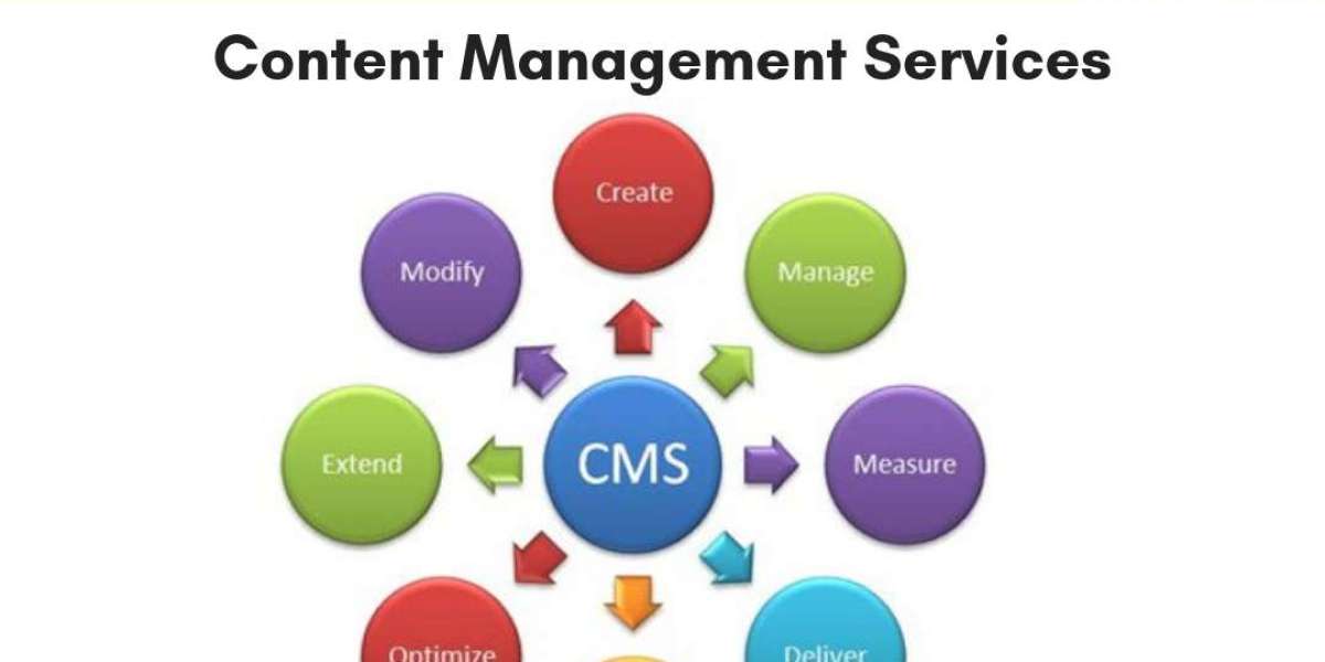 SanBrains: Best Digital Marketing Agency in Hyderabad