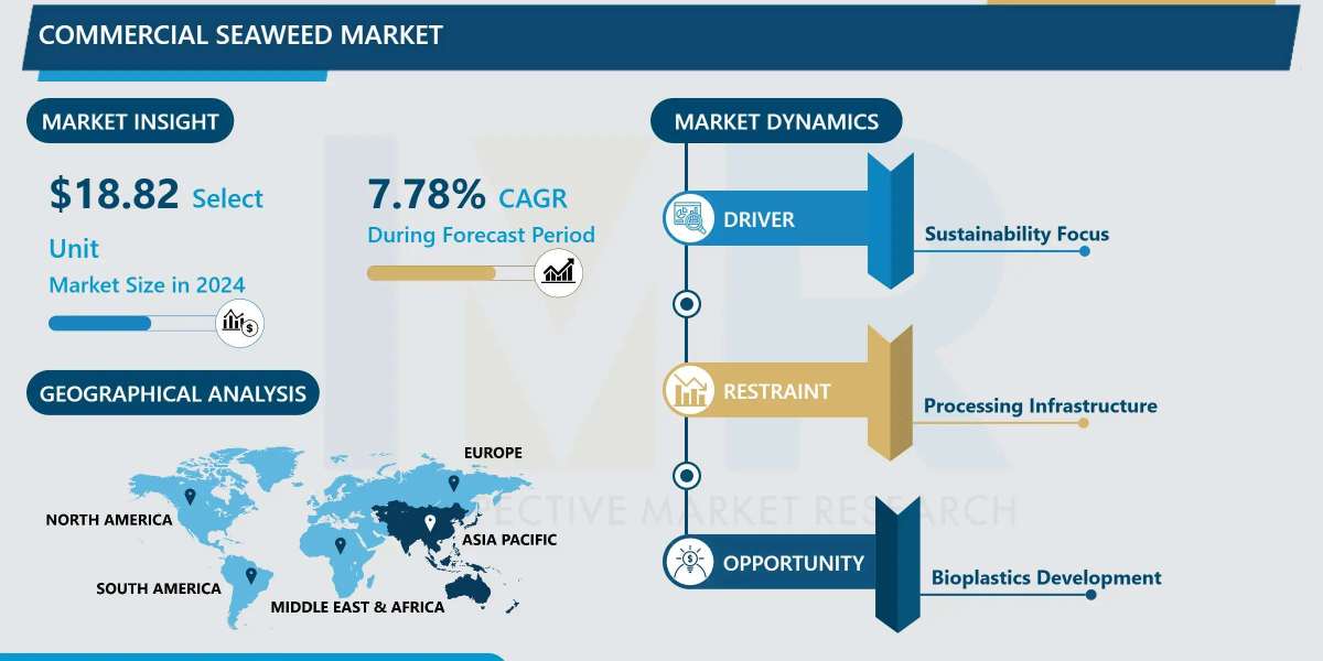 Commercial Seaweed Market Size, Growth Dynamics & Forecast (2024-2032)