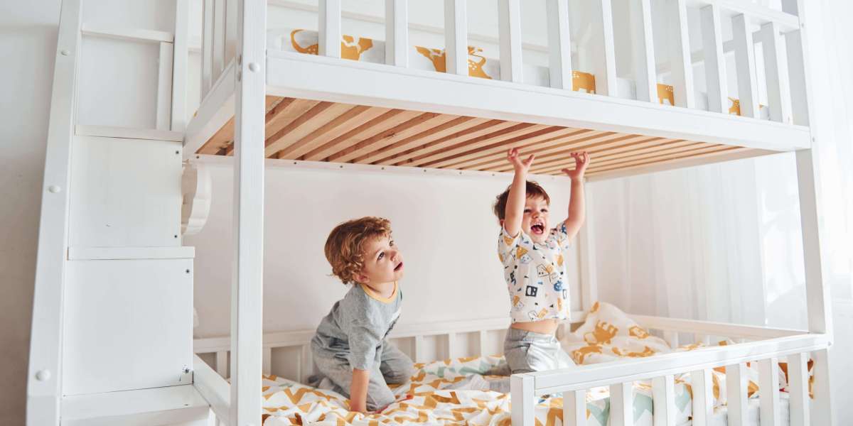 Nine Things That Your Parent Taught You About Bunk Bed For Kids