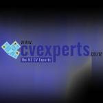 CV Experts Experts Profile Picture