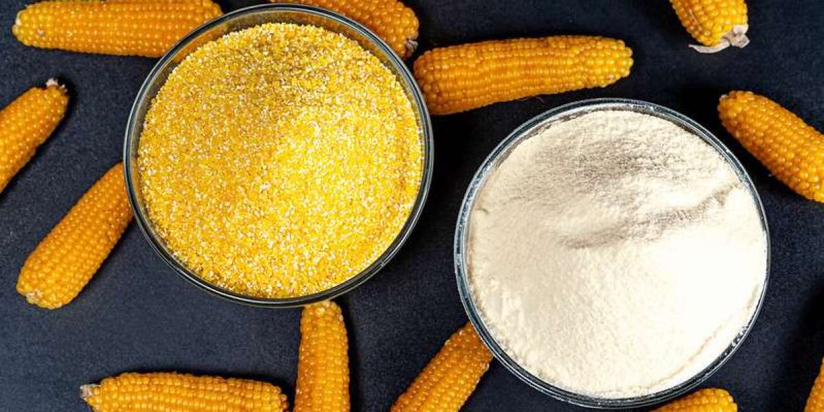 Corn Flour Powder Manufacturer: Backbone of the Modern Food Industry